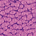 PEBEO Fantasy Prisme Honeycomb Paint 45ml 25 Pearl Violine