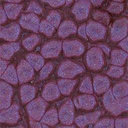 PEBEO Fantasy Prisme Honeycomb Paint 45ml 28 Bluish Pink