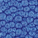 PEBEO Fantasy Prisme Honeycomb Paint 45ml 38 Marina