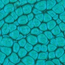 PEBEO Fantasy Prisme Honeycomb Paint 45ml 40 Turquoise