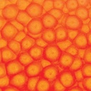 PEBEO Fantasy Prisme Honeycomb Paint 45ml Fluorescent Orange