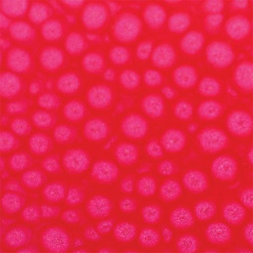 PEBEO Fantasy Prisme Honeycomb Paint 45ml Fluorescent Pink