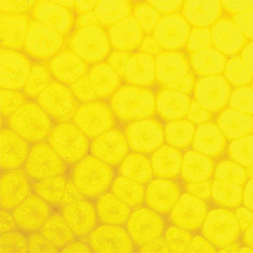 PEBEO Fantasy Prisme Honeycomb Paint 45ml Fluorescent Yellow