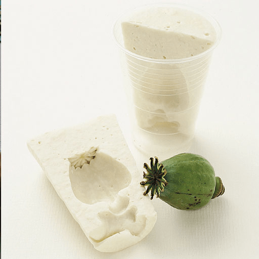 PEBEO Gedeo Moulding Alginate 500g