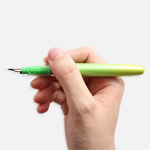 PLATINUM Plaisir 10th Anniversary Country Sunshine Fountain Pen Fine