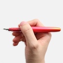 PLATINUM Plaisir 10th Anniversary Morning Glory Fountain Pen Fine