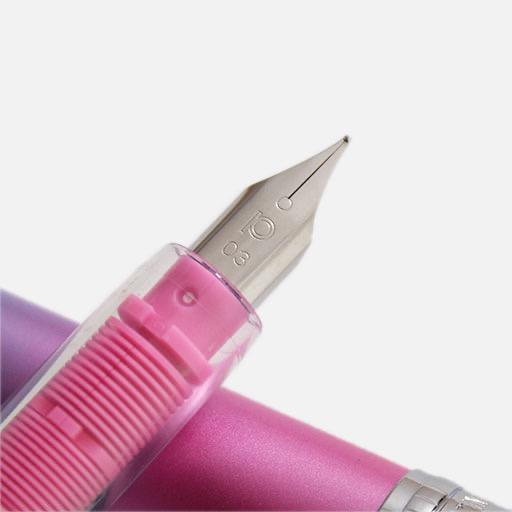 PLATINUM Plaisir 10th Anniversary Morning Glory Fountain Pen Fine