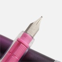 PLATINUM Plaisir 10th Anniversary Night Blue Fountain Pen Medium