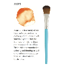 PRINCETON Select Oval Mop Brush 3/4"