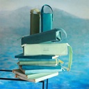 RHODIA Hard Leather Pen Case Aqua