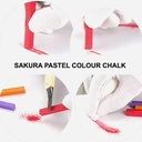 SAKURA Nouvel Carre Soft Pastel Portrait Set x 24