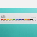 SHINHAN Soft Pastel Set x 12
