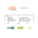 SOFFT Round Angle Slice Art Sponge x 2