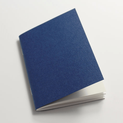 TRAVELER'S Passport 001 Lined x 32