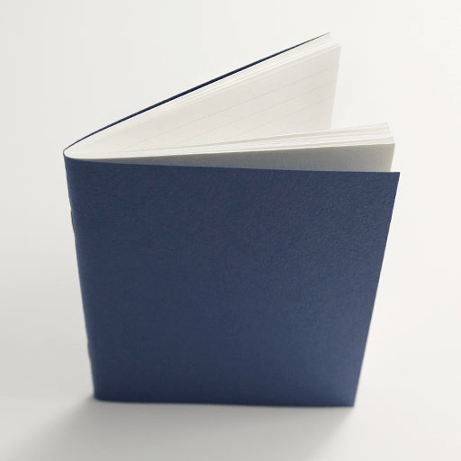 TRAVELER'S Passport 001 Lined x 32