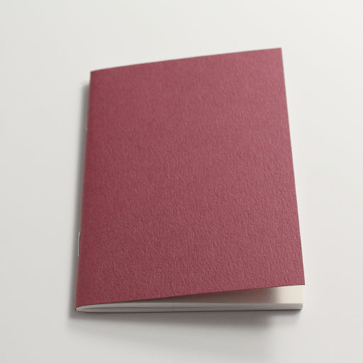 TRAVELER'S Passport 003 Blank x 32