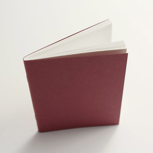 TRAVELER'S Passport 003 Blank x 32