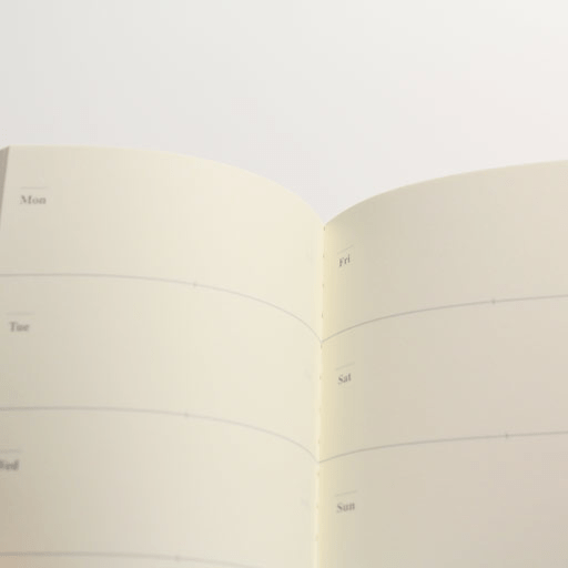 TRAVELER'S Passport 007 Weekly Diary