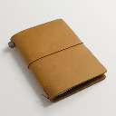 TRAVELER'S Passport Camel