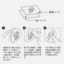 MIDORI Transfer Sticker Motifs Flower