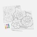 FABER-CASTELL Watercolor Paint By Number 12” x 12” Gallery Canvas Succulents