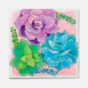 FABER-CASTELL Watercolor Paint By Number 12” x 12” Gallery Canvas Succulents