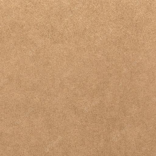 OVJ Kraft Paper 100gsm A4 x 250