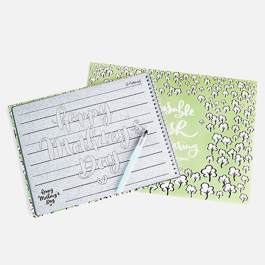 MOBLIQUE Reusable Brush Lettering Workbook