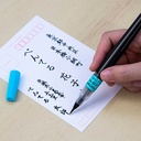 PENTEL Standard Extra Fine Brush Pen Black