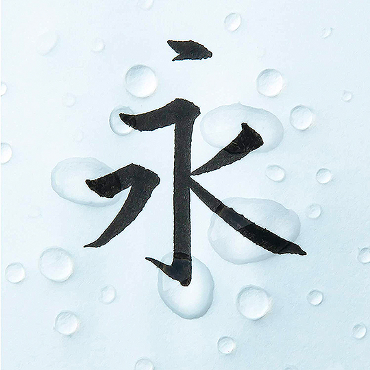 PENTEL Sumi Medium Brush Pen Black