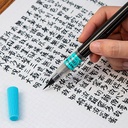 PENTEL Sumi Medium Brush Pen Black