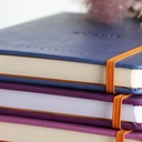 RHODIA White Paper Hardcover Dot Goal Book 90gsm A5 x 120 Beige