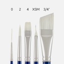 SILVER Bristlon 5pc Set with Case Acrylic Set Brush 5 Pc