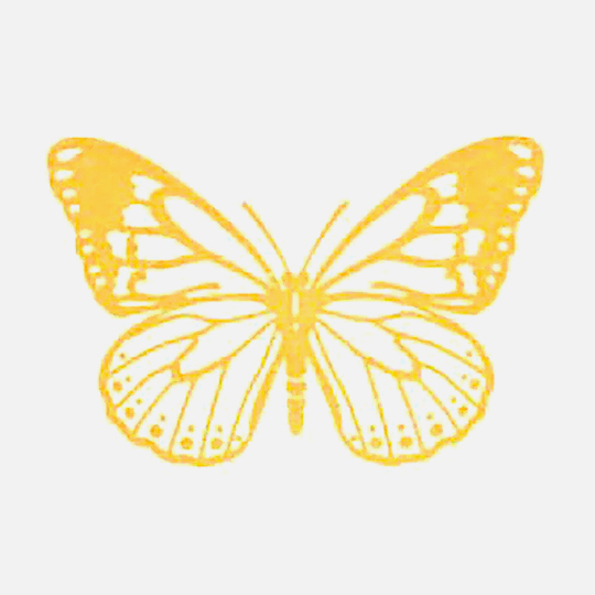 SHACHIHATA Iromoyou Mini Ink Pad Golden Yellow