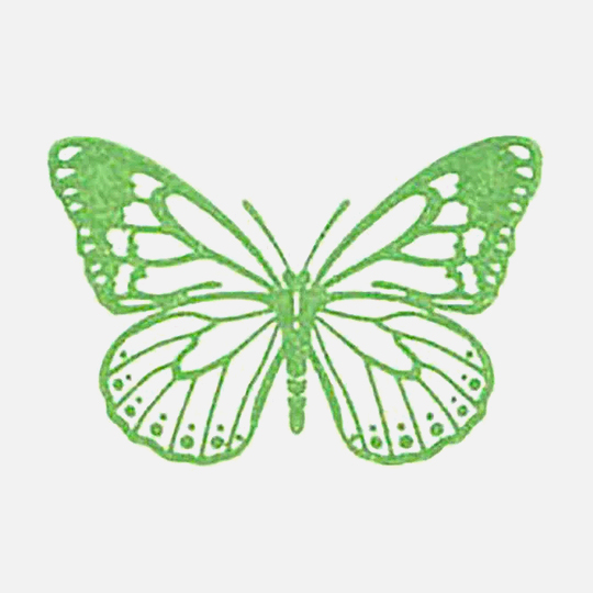 SHACHIHATA Iromoyou Mini Ink Pad Matsuba