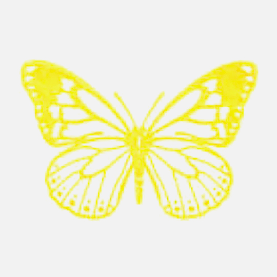 SHACHIHATA Iromoyou Mini Ink Pad Sunflower