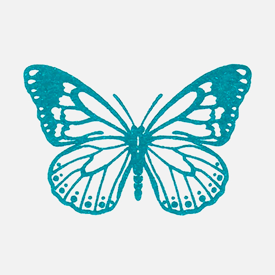 SHACHIHATA Iromoyou Mini Ink Pad Kizuki-iro