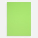 CLAIREFONTAINE Polypropylene Plastic Sheet 50cm x 70cm Green
