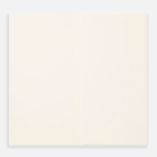 TRAVELER’S notebook Refill Accordion Fold Paper