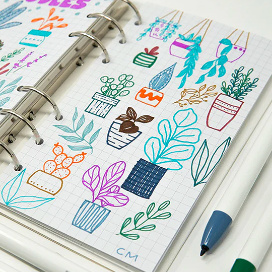 ZEBRA Clickart Water-Based Marker Standard Set x 12