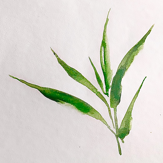 CLAIREFONTAINE Bamboo Watercolor Paper 250gsm A5 x 20