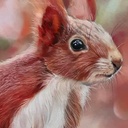 CLAIREFONTAINE Pastelmat Card For Pastel 360gsm 24cm x 30cm x 12 No. 5