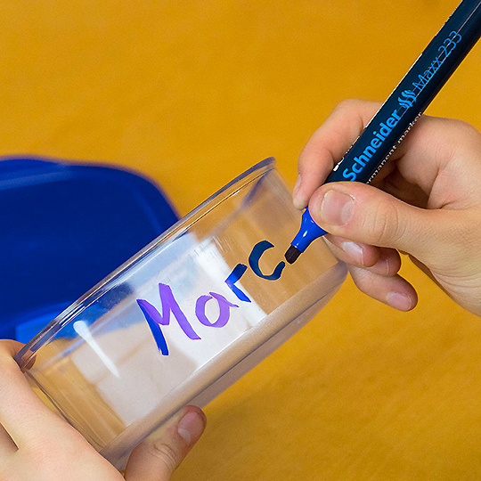 SCHNEIDER Maxx 233 Aluminium Barrel Chisel Tip Permanent Marker Black