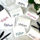 SCHNEIDER One Sign Roller Pen Green