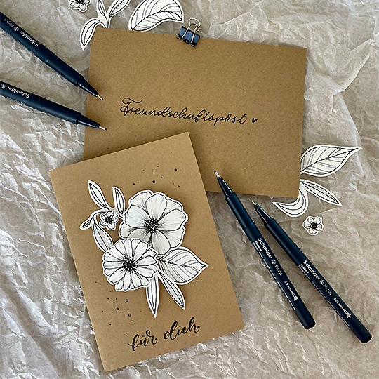 SCHNEIDER Pictus Drawing Pen Black Set x 8