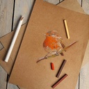 CLAIREFONTAINE Kraft Paper 160gsm A3 x 25