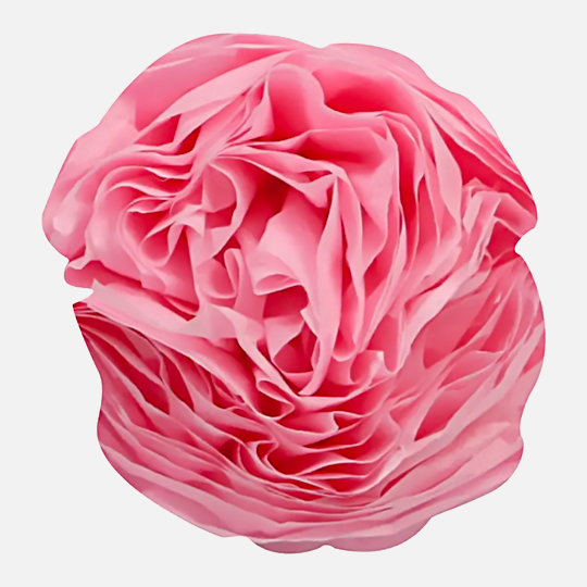 CLAIREFONTAINE Tissue Paper 18gsm 50cm x 75cm x 8 Medium Pink