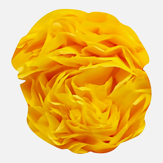 CLAIREFONTAINE Tissue Paper 18gsm 50cm x 75cm x 8 Lemon Yellow