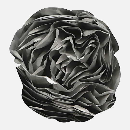 CLAIREFONTAINE Tissue Paper 18gsm 50cm x 75cm x 8 Silver