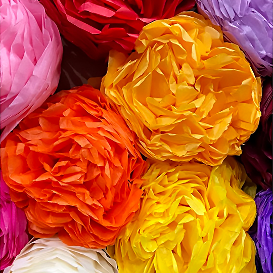 CLAIREFONTAINE Tissue Paper 18gsm 50cm x 75cm x 25